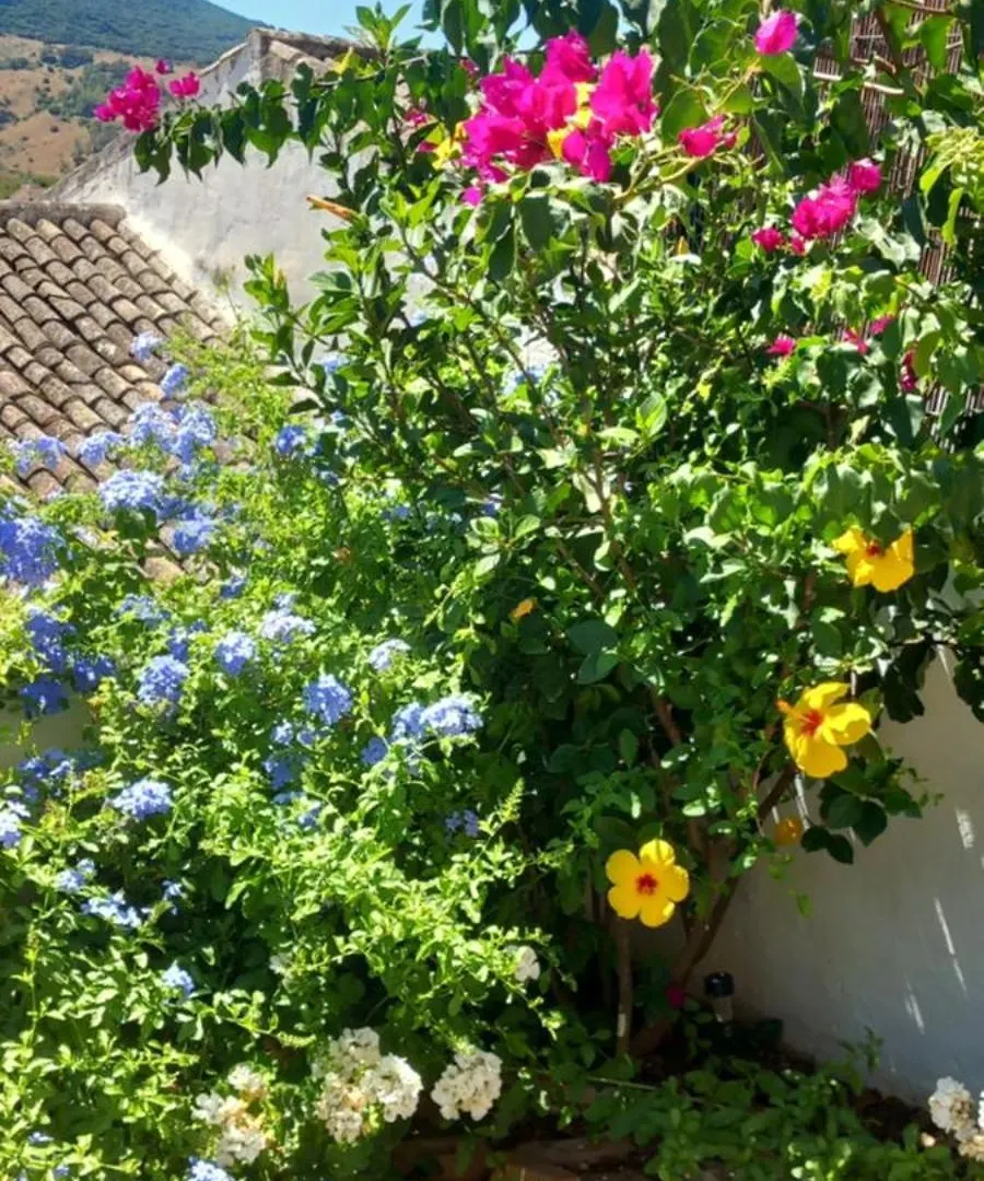 La Posada De La Muela Algodonales